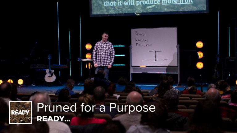 Pruned for a Purpose