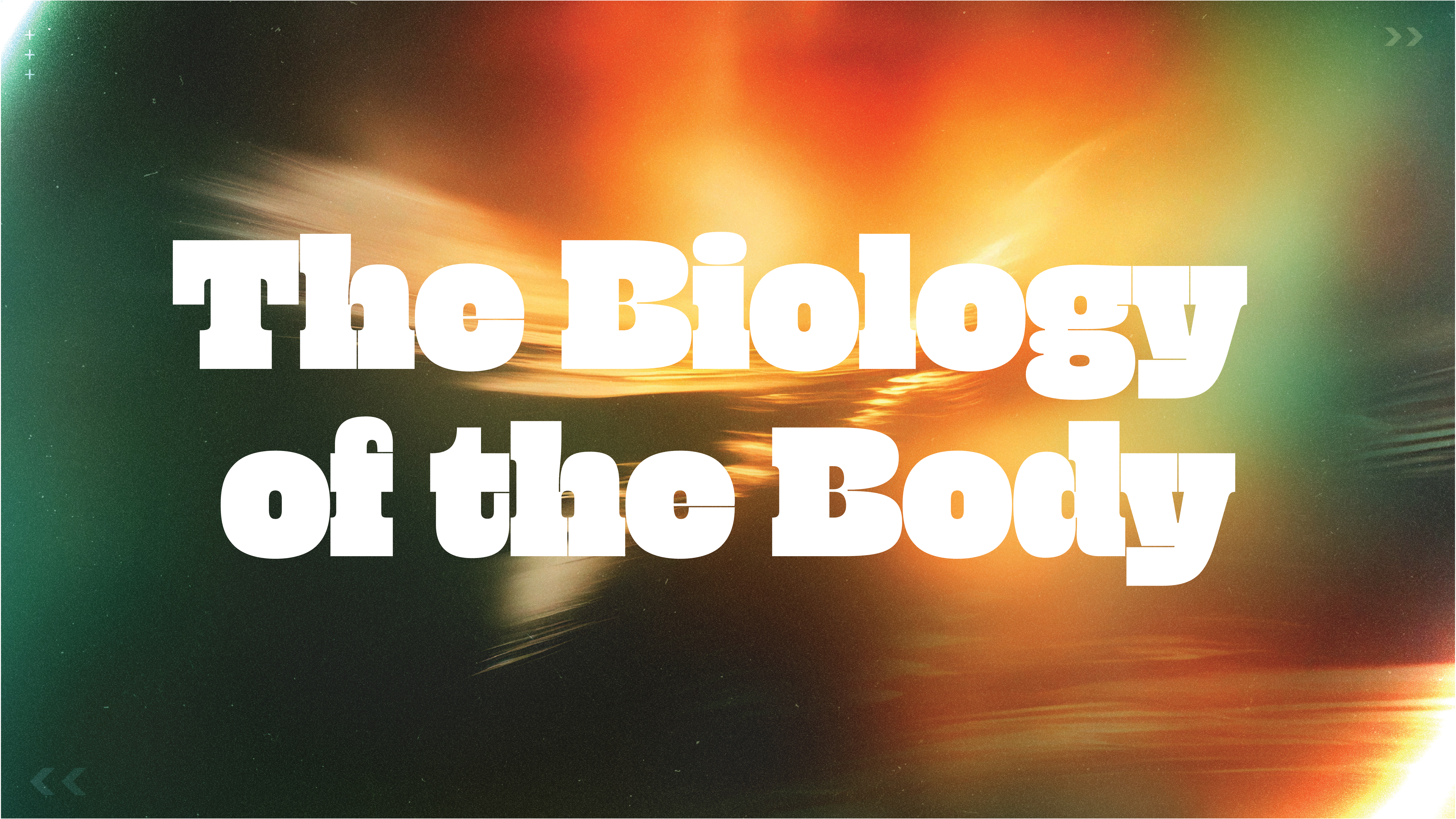 The Biology of the Body (The Danger of Disconnection)